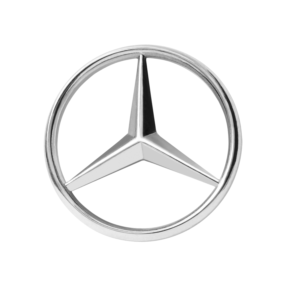 Rent this Mercedes with driver in Paris